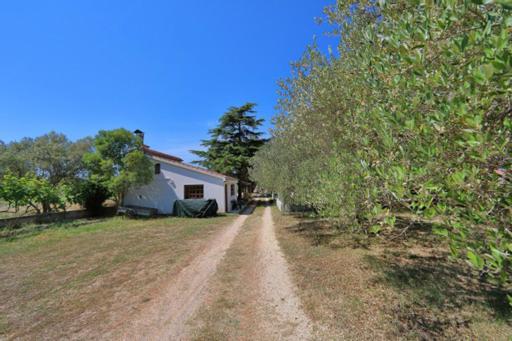 Apartmani Pjer 2 Bibinje Dış mekan fotoğraf